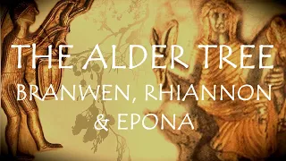 Around the Grove ~ Alder ~ 2024 ~ Branwen, Rhiannon, Epona