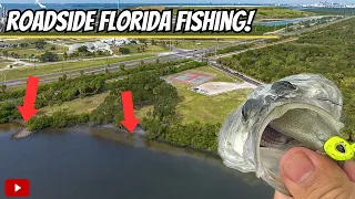 I Pulled Off to The Side of a FLORIDA Highway and CAUGHT THIS Unexpected Catch! (Saltwater Fishing)