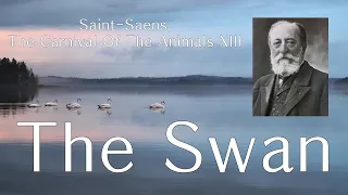 [1h repeat*](고음질) Saint-Saëns, The Carnival Of The Animals: XIII. The Swan_생상스, 동물의 사육제 ‘백조’_/사색/휴식/