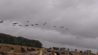 North Dakota Interstate Migrators