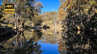 Reflections on the Crudine River | 4K 60fps HDR binaural audio, no loop | relax sleep study