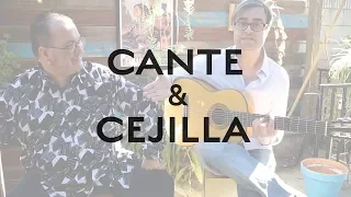Cante & Cejilla - Creating color on the flamenco guitar