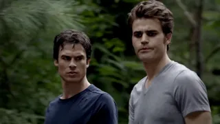 Damon and Stefan Salvatore - Dangerous