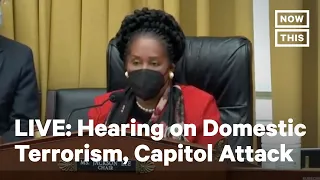 House Judiciary Committee Hearing on Domestic Terrorism | LIVE