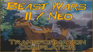 Beast Wars II/Neo Transformation Compilation