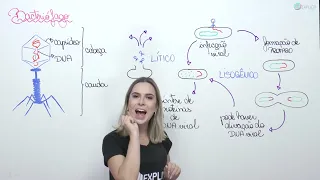 BIOLOGIA CELULAR - BACTERIÓFAGO | Prof. Cinthia