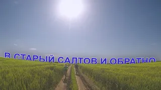 В Старый Салтов и обратно