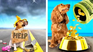 RICH Guy Saved a POOR Dog *Coolest DIY Gadgets for Pets*