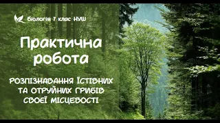 Біологія 7 клас НУШ Практична робота Розпізнавання їстівних та отруйних грибів своєї місцевості