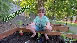 GARDENING VIDEOS FOR KIDS! Planting, raised garden beds and gardening tools! Plus bugs and chickens!