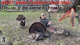 2021 Iowa Turkey Hunting: Double Bearded Tom