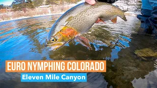 EURO NYMPHING ELEVEN MILE CANYON IN THE WINTER ... Fly fishing Colorado with @ColoradoFisher 4k vid