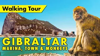 Gibraltar walking tour - Marina, town & monkeys - British overseas territory immersive virtual tour