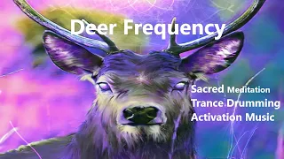 Deer Frequency Magical Sacred Forest/Meditation Trance Drumming Activation Music