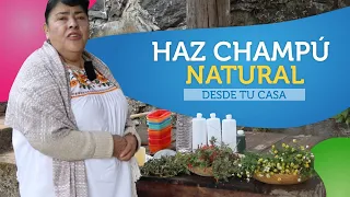 Cómo hacer champú (shampoo) natural en 9 sencillos pasos