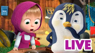 ماشا والدب 👱‍♀️ LIVE STREAM! 🎮🏠 المنزل الذكي 🎮🏠 Masha and the Bear