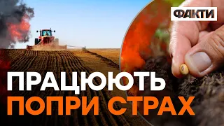 ПОСІВНА 2023: як аграрії продовжують працювати під ВОРОЖИМИ кулями?