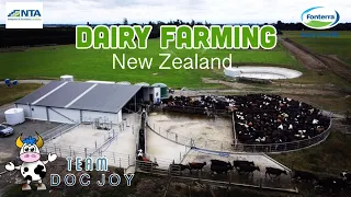 Dairy Farm | Visit Experience | Dunsandel, New Zealand