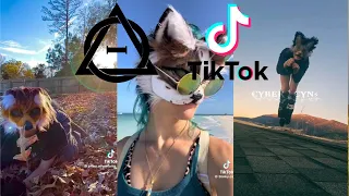 Therian and Quadrobics TikToks || Compilation 🐾🪱🪲|| Alterhumans of TikTok #65