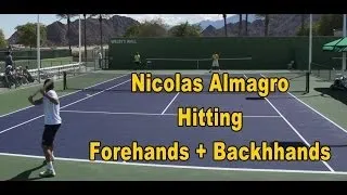 Nicolas Almagro Hitting - BNP Paribas Open 2013