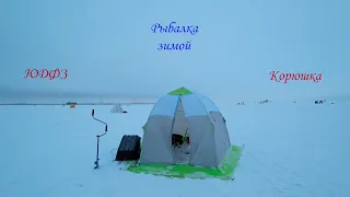 Ловля корюшки на Финском заливе, Южная Дамба (ice fishing for smelt in the Gulf of Finland)