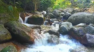 The melodious and beautiful sound of the river flowing is suitable for relaxing, focusing, asmr