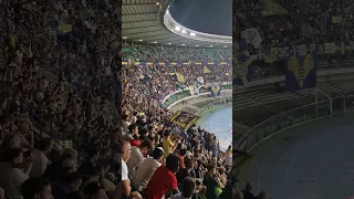 Goal sotto la Sud Hellas Verona Ascoli