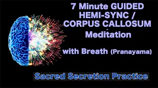 Sacred Secretion Practice - 7 Minute GUIDED HEMI-SYNC / CORPUS CALLOSUM Meditation & Breath Exercise