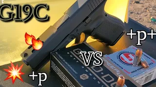 9mm +P VS +P+ Speer Gold Dot & Underwood Gold Dot in ballistics gel