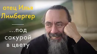 Под сакурой в цвету. Отец Илья Лимбергер