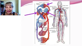 APLGo🍀 | База знаний | 🙏 От Матфея😇 | Про Продукт HRT УД Ольга РАДНАЕВА