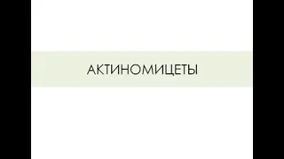 АКТИНОМИЦЕТЫ. Actinomyces israelii