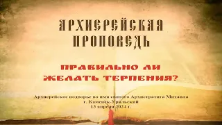 Проповедь Преосвященного Мефодия «Правильно ли желать терпения?»