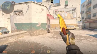 Counter Strike 2 Gut Knife Tiger Tooth - Driver Gloves Overtake Combo