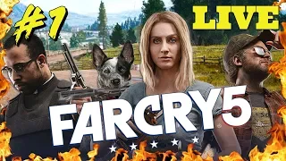 🔴Посмотрим что там в МОНТАНЕ? СТРИМ FAR CRY 5 - Часть 1