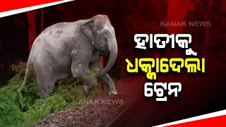 2 Elephant Dies After Being Hit By Train In Odisha's Rourkela