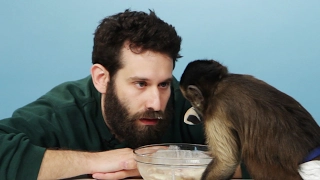 Stoners Get Surprised With A Monkey & Eat Banana Splits