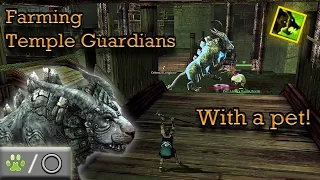 Temple Guardian Farming with a Pet!  Guild Wars Ranger Farm R/Any, HM