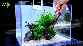 Aquascape Tutorial: ‘Clarity’ (How To: Full Step By Step Guide, Planted Nano Aquarium)