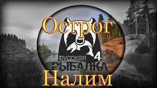 рр4 - налим на остроге