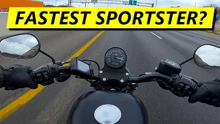 How FAST is our 1275cc Sportster (DYNO TUNED!)