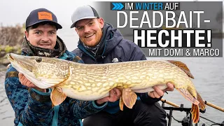 Hechtangeln mit Köderfisch: Im Winter auf Deadbait-Hechte