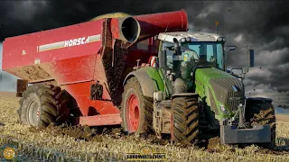 FENDT Traktoren versinken im Schlamm | Schlammschlacht | Körnermais ernten, Mulchen & Pflügen 2020