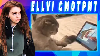 ELLVI смотрит UNUSUAL MEMES COMPILATION V82 || Элви