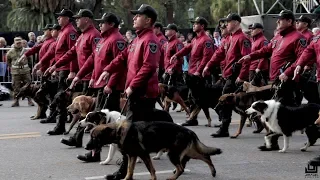 Desfile Militar por el Dia de la Independencia Argentina - Veteranos de Guerra de Malvinas