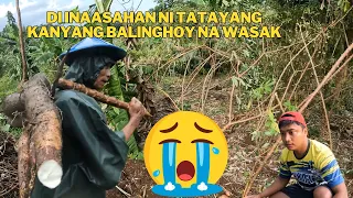 NAWASAK ANG MGA HALAMAN NI TATAY  DAHIL SA BAGYO AGHON