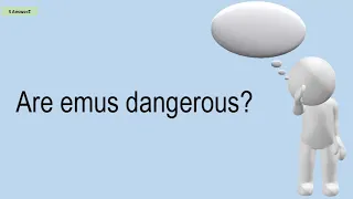 Are Emus Dangerous?