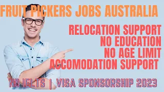 FRUIT PICKERS NEEDED IN AUSTRALIA | RELOCATION SUPPORT | NO EXPERIENCE #australia  #fruitpicking