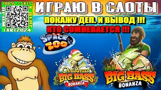 Играю в слоты казино Space Zoo Big Bass Bonanza Christmas Big Bass Bonanza