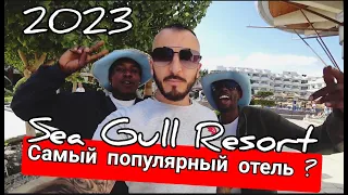 Египет -2023  Первая линия Sea Gull Resort 4+ в Хургаде на Шератон/ отдых в январе